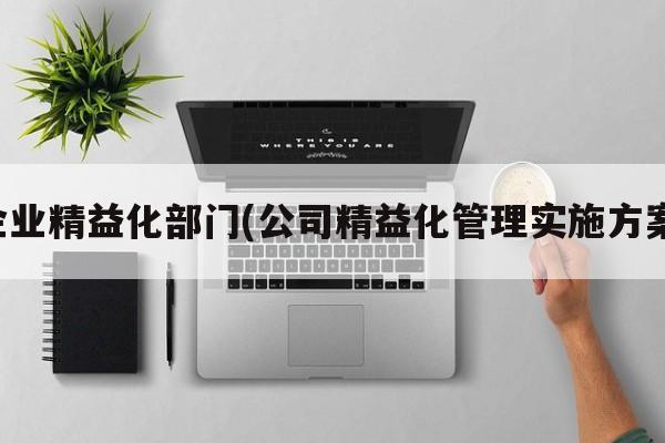 企业精益化部门(公司精益化管理实施方案)